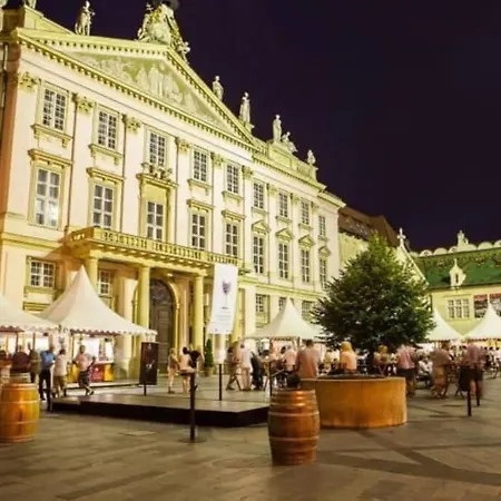 Boutique Flat In Old Town * Bratysława